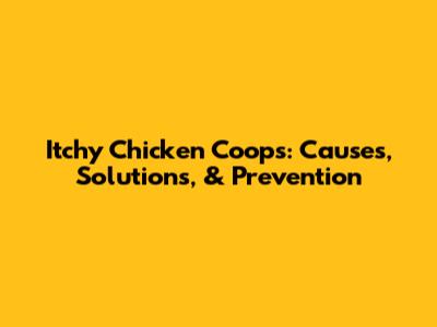 Itchy Chicken Coops: Causes, Solutions, & Prevention