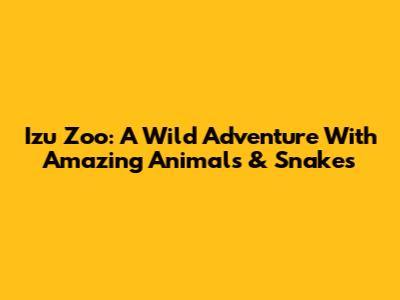 Izu Zoo: A Wild Adventure With Amazing Animals & Snakes
