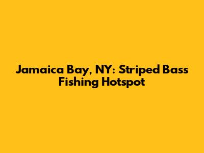 Jamaica Bay, NY: Striped Bass Fishing Hotspot