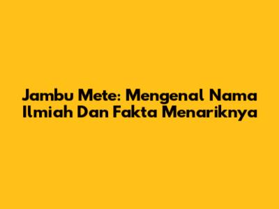 Jambu Mete: Mengenal Nama Ilmiah Dan Fakta Menariknya
