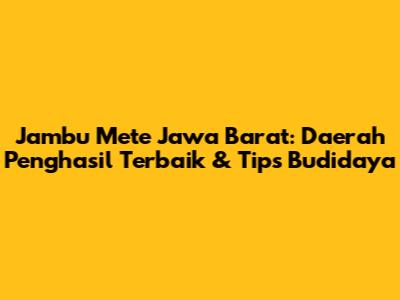 Jambu Mete Jawa Barat: Daerah Penghasil Terbaik & Tips Budidaya