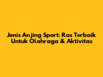 Jenis Anjing Sport: Ras Terbaik Untuk Olahraga & Aktivitas