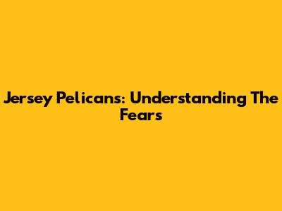 Jersey Pelicans: Understanding The Fears