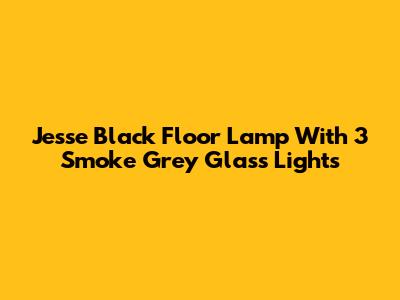 Jesse Black Floor Lamp With 3 Smoke Grey Glass Lights