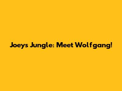 Joey's Jungle: Meet Wolfgang!