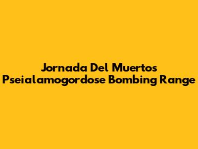 Jornada Del Muerto's Pseialamogordose Bombing Range