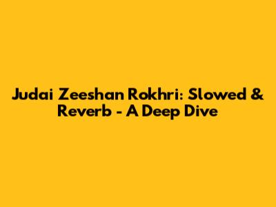 Judai Zeeshan Rokhri: Slowed & Reverb - A Deep Dive