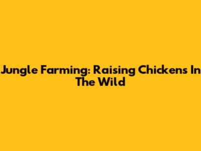 Jungle Farming: Raising Chickens In The Wild