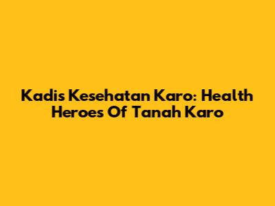 Kadis Kesehatan Karo: Health Heroes Of Tanah Karo