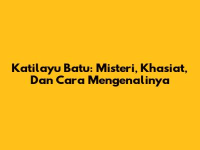 Katilayu Batu: Misteri, Khasiat, Dan Cara Mengenalinya