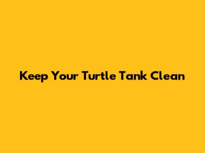 Keep Your Turtle Tank Clean