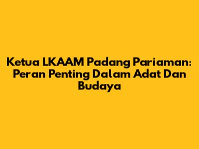 Ketua LKAAM Padang Pariaman: Peran Penting Dalam Adat Dan Budaya