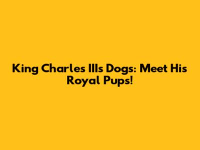 King Charles III's Dogs: Meet His Royal Pups!