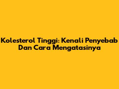 Kolesterol Tinggi: Kenali Penyebab Dan Cara Mengatasinya