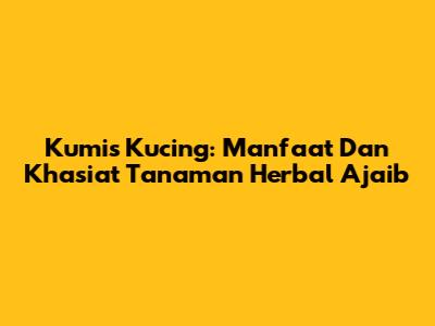 Kumis Kucing: Manfaat Dan Khasiat Tanaman Herbal Ajaib