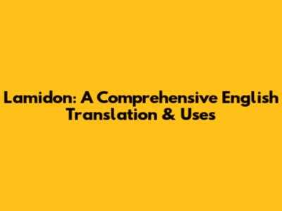 L'amidon: A Comprehensive English Translation & Uses