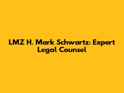 LMZ H. Mark Schwartz: Expert Legal Counsel