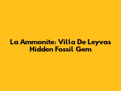 La Ammonite: Villa De Leyva's Hidden Fossil Gem