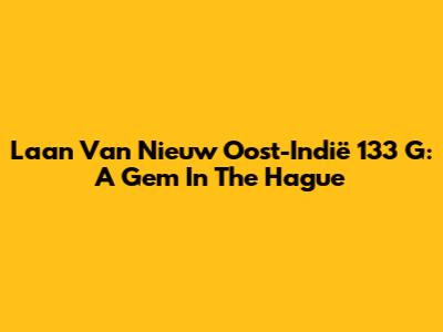 Laan Van Nieuw Oost-Indië 133 G: A Gem In The Hague