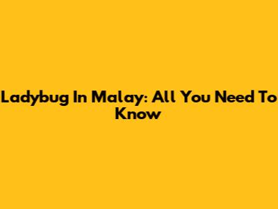 Ladybug In Malay: All You Need To Know