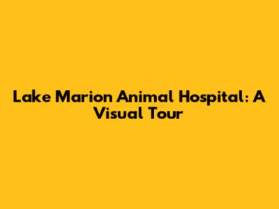 Lake Marion Animal Hospital: A Visual Tour