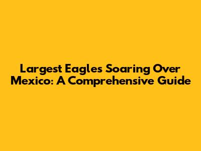 Largest Eagles Soaring Over Mexico: A Comprehensive Guide