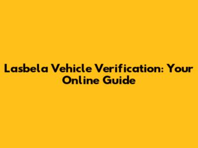 Lasbela Vehicle Verification: Your Online Guide