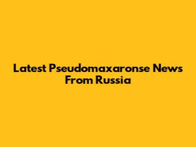 Latest Pseudomaxaronse News From Russia
