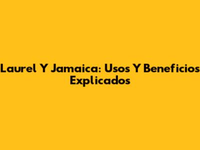 Laurel Y Jamaica: Usos Y Beneficios Explicados
