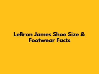 LeBron James' Shoe Size & Footwear Facts