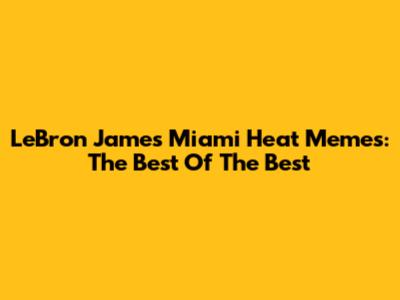 LeBron James Miami Heat Memes: The Best Of The Best
