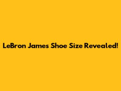 LeBron James Shoe Size Revealed!