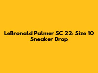 LeBronald Palmer SC '22: Size 10 Sneaker Drop