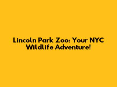 Lincoln Park Zoo: Your NYC Wildlife Adventure!