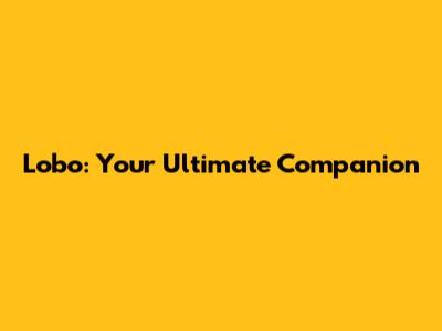 Lobo: Your Ultimate Companion