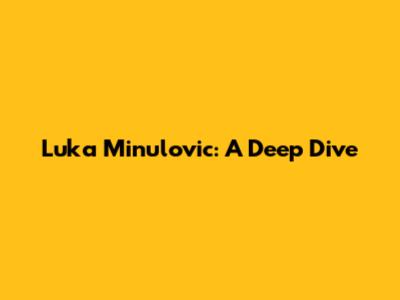 Luka Minulovic: A Deep Dive
