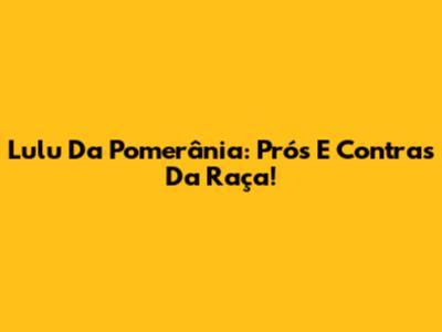 Lulu Da Pomerânia: Prós E Contras Da Raça!