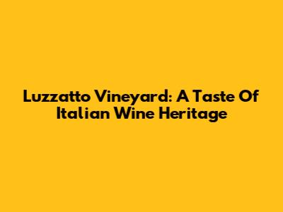Luzzatto Vineyard: A Taste Of Italian Wine Heritage