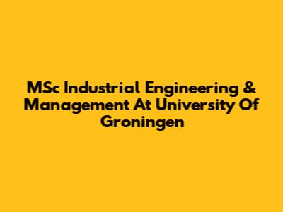 MSc Industrial Engineering & Management At University Of Groningen