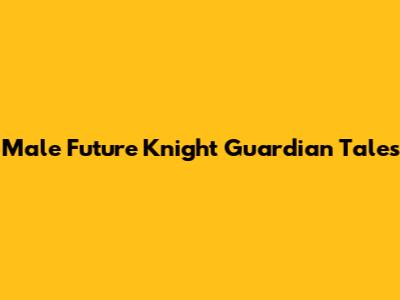 Male Future Knight Guardian Tales
