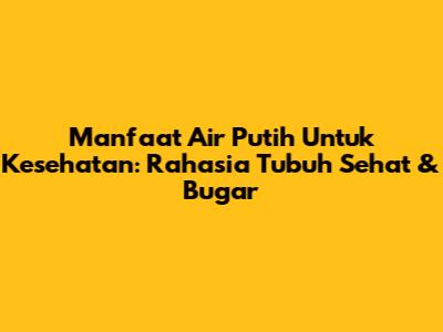 Manfaat Air Putih Untuk Kesehatan: Rahasia Tubuh Sehat & Bugar
