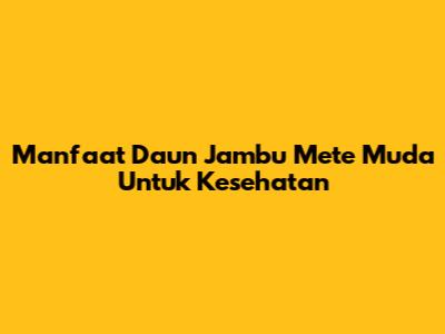 Manfaat Daun Jambu Mete Muda Untuk Kesehatan