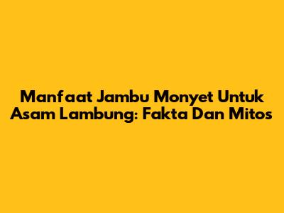 Manfaat Jambu Monyet Untuk Asam Lambung: Fakta Dan Mitos
