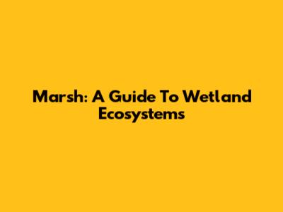 Marsh: A Guide To Wetland Ecosystems