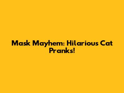 Mask Mayhem: Hilarious Cat Pranks!