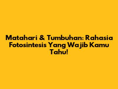 Matahari & Tumbuhan: Rahasia Fotosintesis Yang Wajib Kamu Tahu!