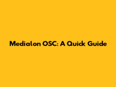 Medialon OSC: A Quick Guide