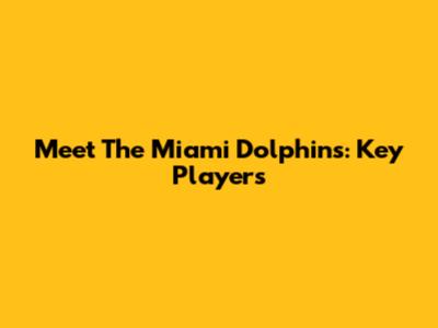 Meet The Miami Dolphins: Key Players