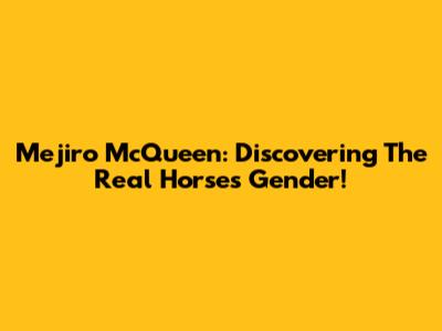 Mejiro McQueen: Discovering The Real Horse's Gender!