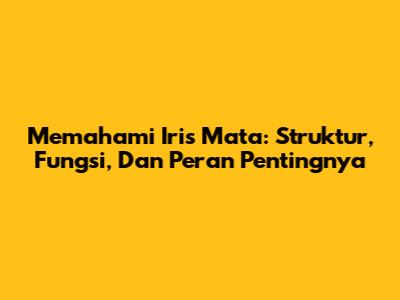 Memahami Iris Mata: Struktur, Fungsi, Dan Peran Pentingnya